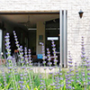 Spring Garden